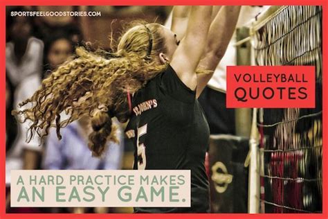 143 Best Volleyball Quotes To Serve Up To Your Team .